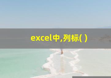 excel中,列标( )